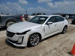 Salvage cars for sale from Copart Houston, TX: 2023 Cadillac CT5 Luxury