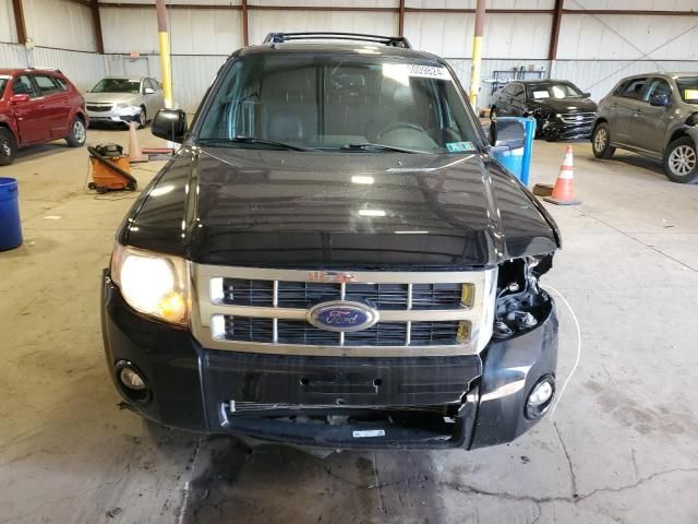 2010 Ford Escape Limited