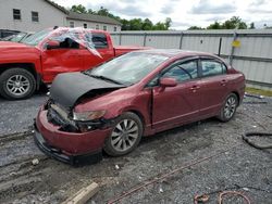 Salvage cars for sale from Copart York Haven, PA: 2010 Honda Civic EX