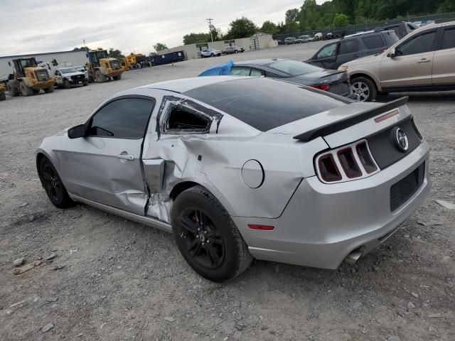 2013 Ford Mustang