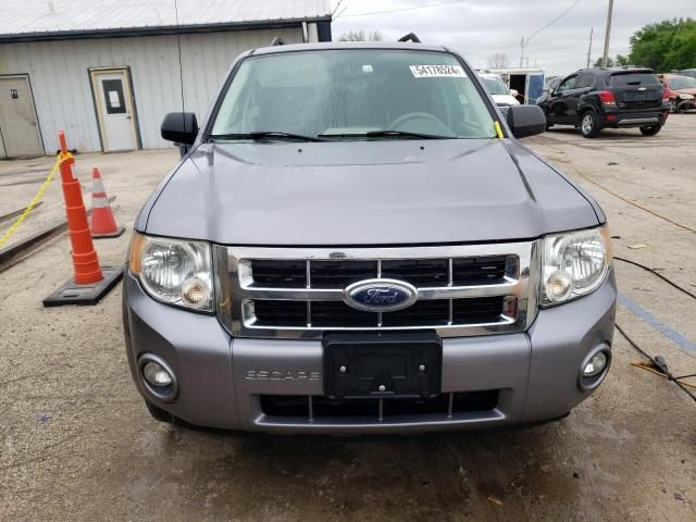 2008 Ford Escape XLT