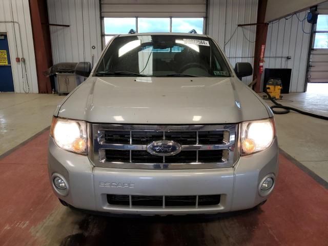 2008 Ford Escape XLT