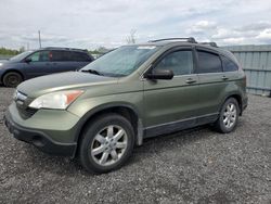 Honda salvage cars for sale: 2009 Honda CR-V EXL