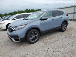 2020 Honda CR-V EXL for sale in Lawrenceburg, KY