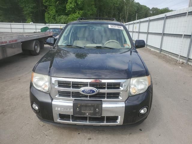 2011 Ford Escape Limited