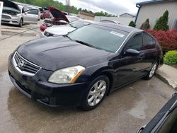 2007 Nissan Maxima SE for sale in Louisville, KY