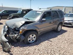 2005 Ford Escape HEV en venta en Phoenix, AZ