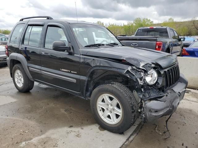 2002 Jeep Liberty Sport