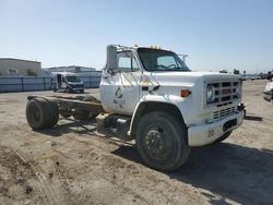 GMC c/k/r7500 salvage cars for sale: 1988 GMC C7000 C7D042