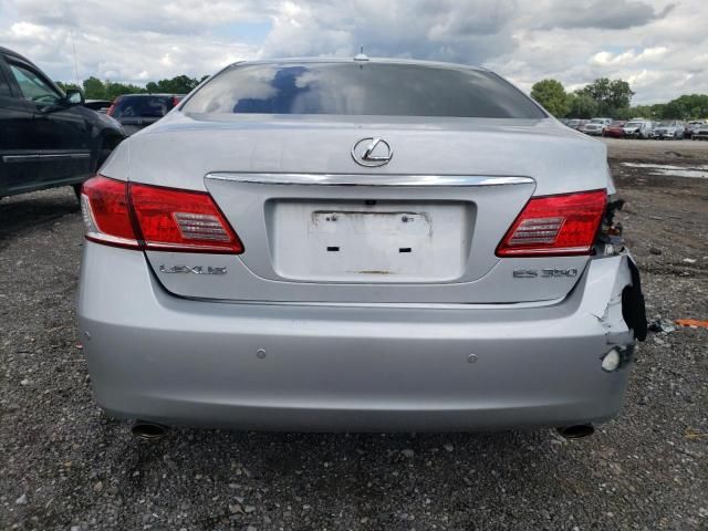 2010 Lexus ES 350