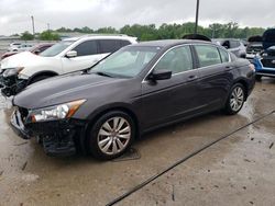 2011 Honda Accord EXL for sale in Louisville, KY