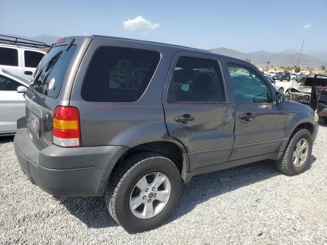 2006 Ford Escape XLT