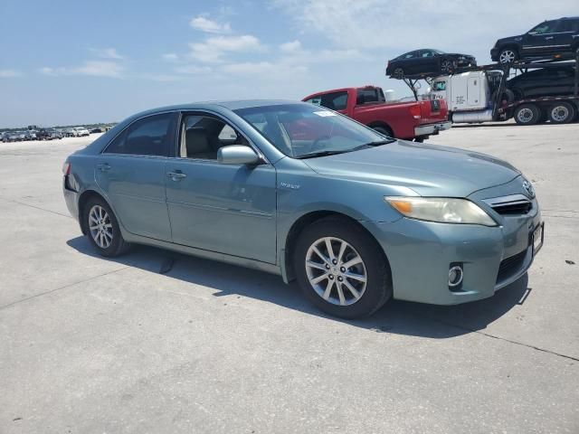 2010 Toyota Camry Hybrid