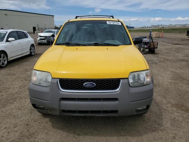 2001 Ford Escape XLT