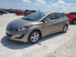 2015 Hyundai Elantra SE for sale in Arcadia, FL