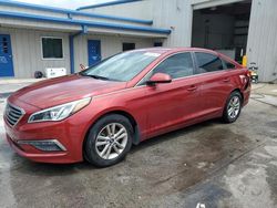 Salvage cars for sale from Copart Fort Pierce, FL: 2015 Hyundai Sonata SE