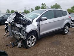 2013 Ford Escape SE en venta en Elgin, IL