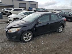 2013 Ford Focus SE for sale in Earlington, KY