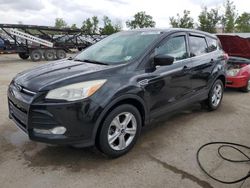 2014 Ford Escape SE for sale in Bridgeton, MO