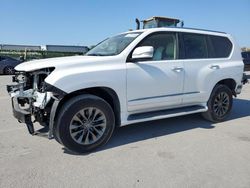 Lexus Vehiculos salvage en venta: 2017 Lexus GX 460 Premium