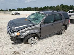 Ford Escape Vehiculos salvage en venta: 2012 Ford Escape XLT