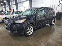 2014 Ford Escape SE for sale in Ham Lake, MN