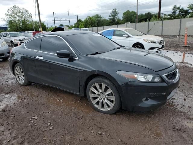 2010 Honda Accord EXL