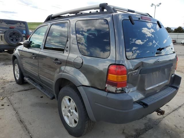 2002 Ford Escape XLT