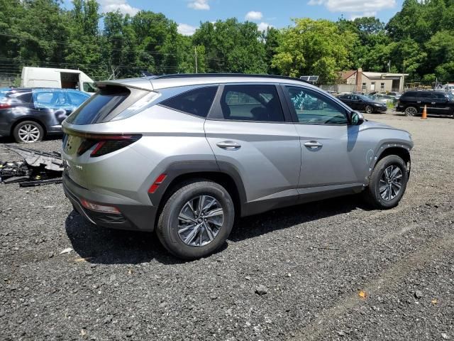 2023 Hyundai Tucson Blue