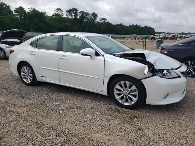 2013 Lexus ES 300H