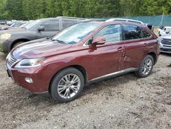 Lexus RX350 salvage cars for sale: 2013 Lexus RX 350 Base