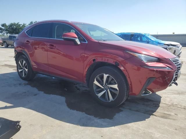 2019 Lexus NX 300H