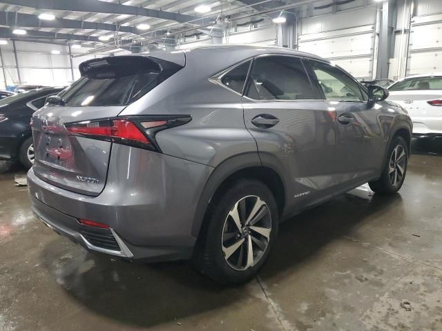 2020 Lexus NX 300H