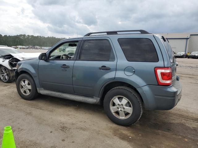 2010 Ford Escape XLT