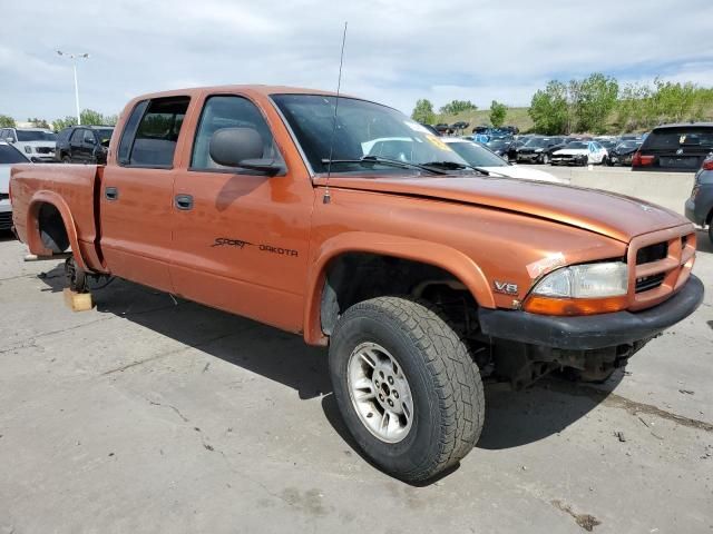 2000 Dodge Dakota Quattro