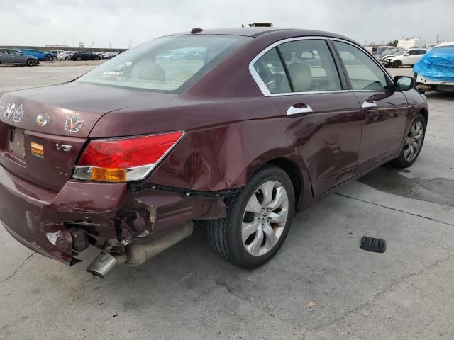 2008 Honda Accord EXL