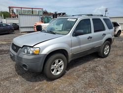 2006 Ford Escape XLT for sale in Kapolei, HI