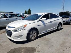 Vehiculos salvage en venta de Copart Hayward, CA: 2013 Hyundai Sonata Hybrid