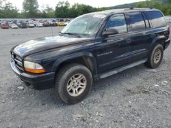 Dodge Durango salvage cars for sale: 2001 Dodge Durango