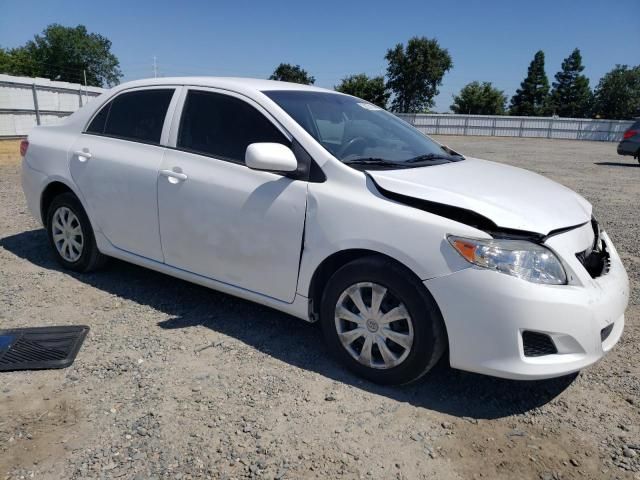 2010 Toyota Corolla Base