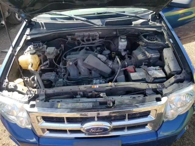 2008 Ford Escape XLT