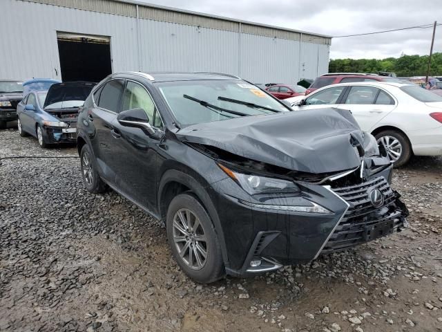 2019 Lexus NX 300 Base