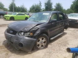 2006 Ford Escape XLT for sale in Midway, FL