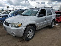 Salvage cars for sale from Copart Chicago Heights, IL: 2006 Ford Escape Limited