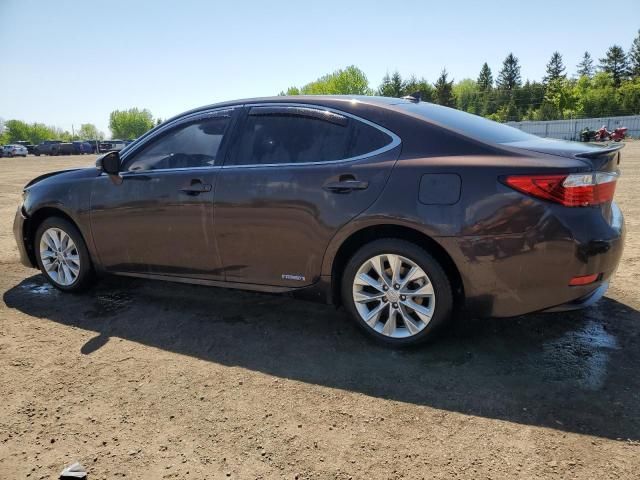 2013 Lexus ES 300H