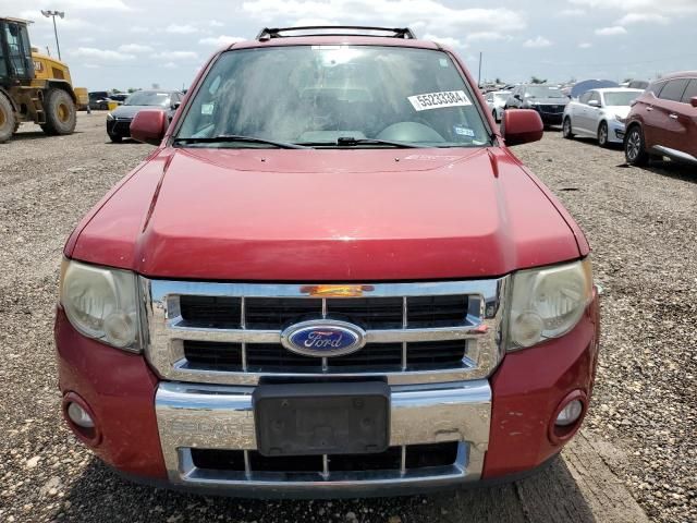 2011 Ford Escape Limited