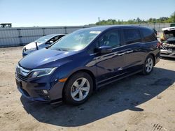2019 Honda Odyssey EXL for sale in Fredericksburg, VA