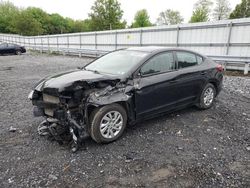 Salvage cars for sale from Copart Grantville, PA: 2019 Hyundai Elantra SE