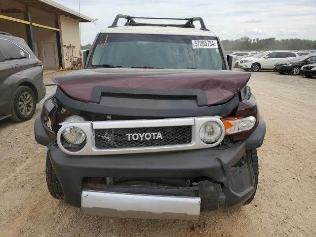 2007 Toyota FJ Cruiser