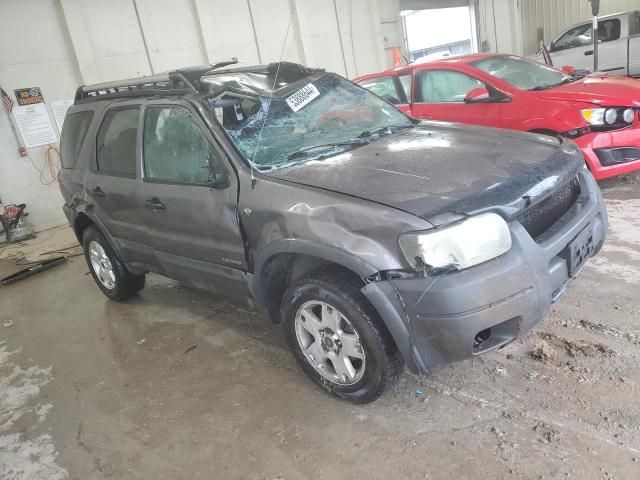 2002 Ford Escape XLT